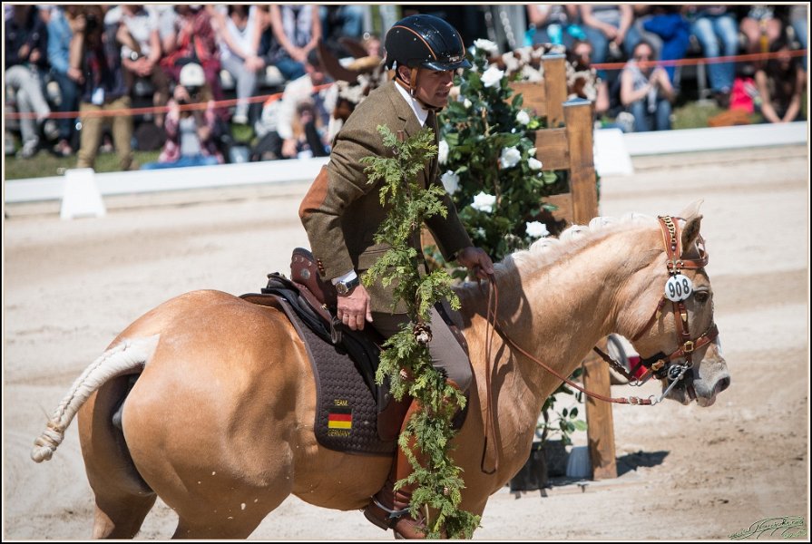 Pferd International 141